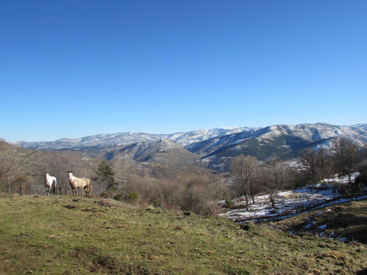 Atardecer En Gredos 1 Villa San Bartolomé de Tormes Eksteriør bilde